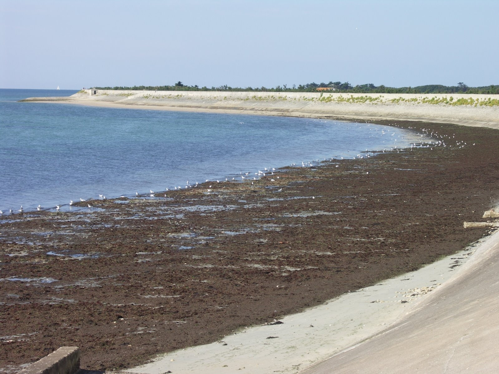 Берег на острове Ре, Франция. Фото 4 – фотографии Франции