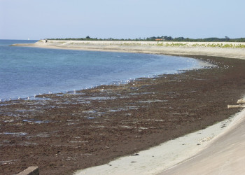 Берег на острове Ре, Франция. Фото 4 – фотографии Франции