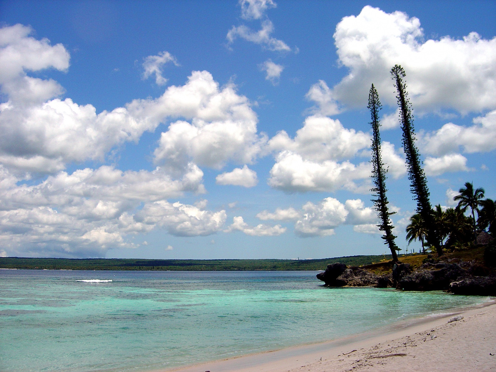 Маре остров (Mare Island) – фотографии Новой Каледонии