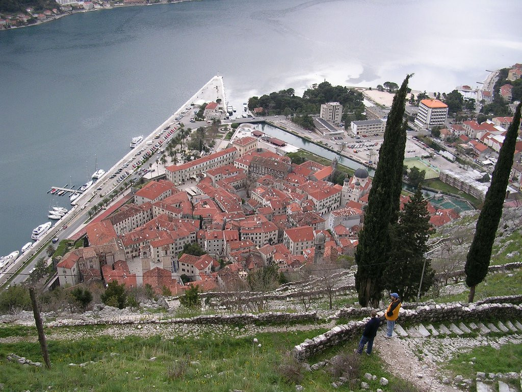 Панорамный вид в Которе, Черногория. Фото 63 – фотографии Черногории