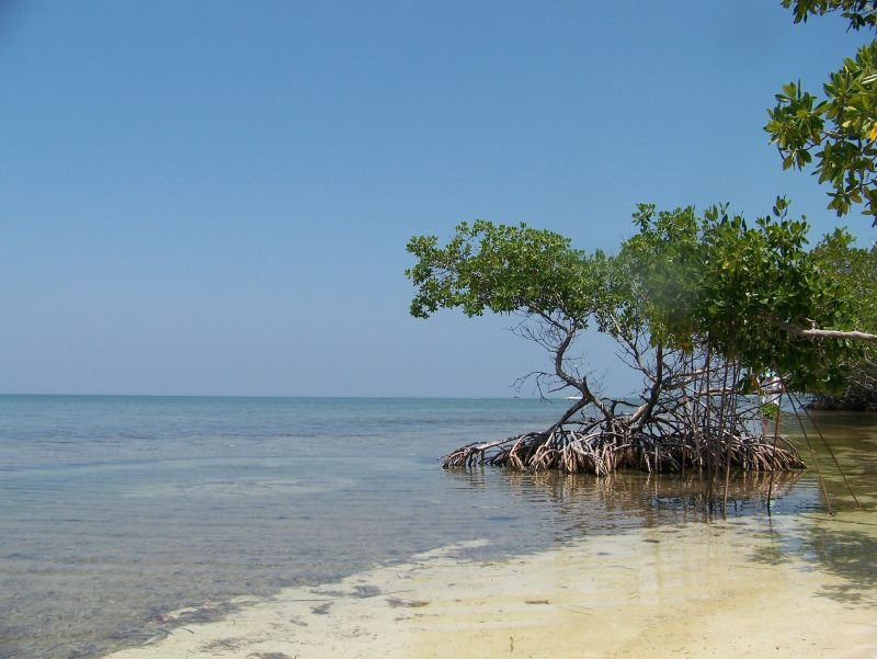 Море в Хувентуде, Куба. Фото 5 – фотографии Кубы