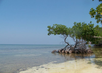 Море в Хувентуде, Куба. Фото 5 – фотографии Кубы