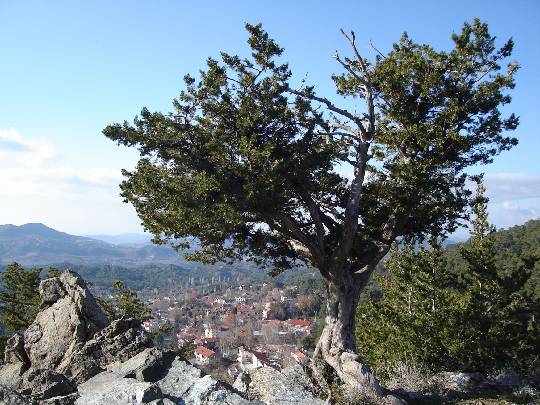 Платрес, Кипр, фото № 38719 – фотографии Кипра