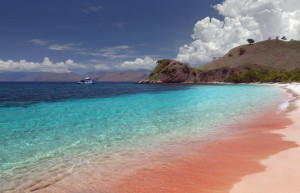 Розовый пляж на острове Харбор 7 – фотографии Багамских островов