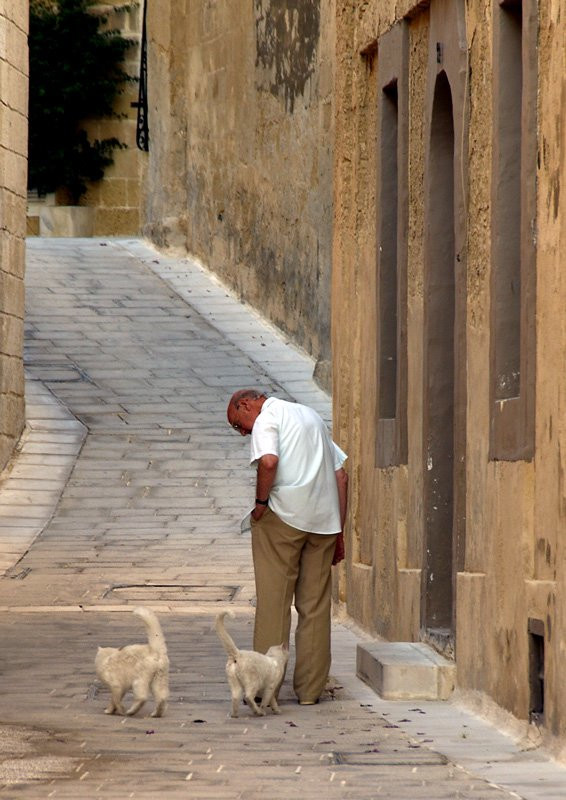 Мдина, Мальта остров, Мальта, фото № 42374 – фотографии Мальты