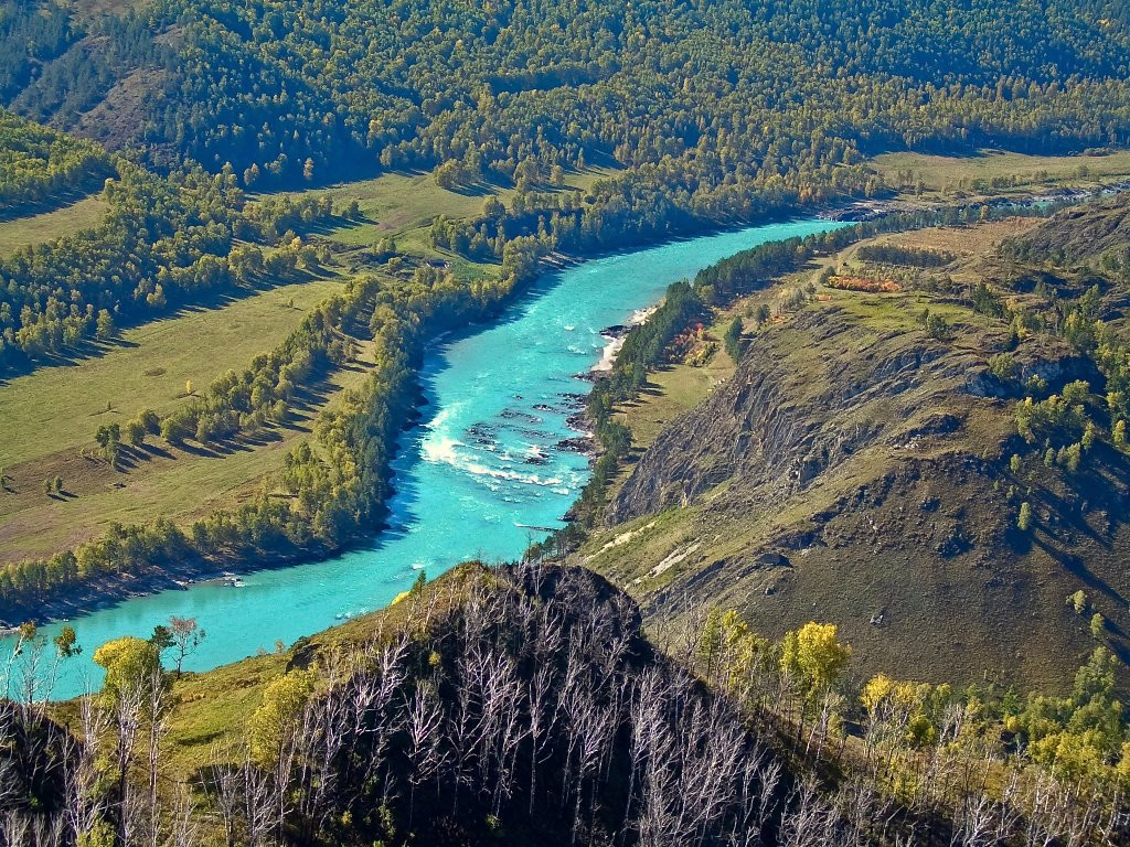 Катунский заповедник – фотографии России