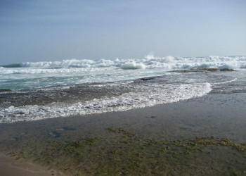 Волны  на Восточном побережье, Барбадос. Фото 4 – фотографии Барбадоса