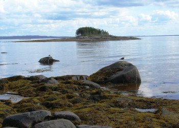 Река на острове Кий, Россия – фотографии России