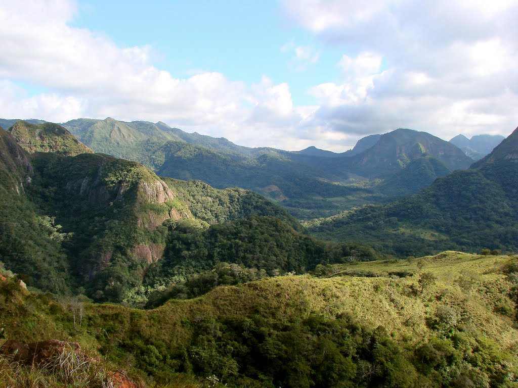 Национальный парк Амборо – фотографии Боливии