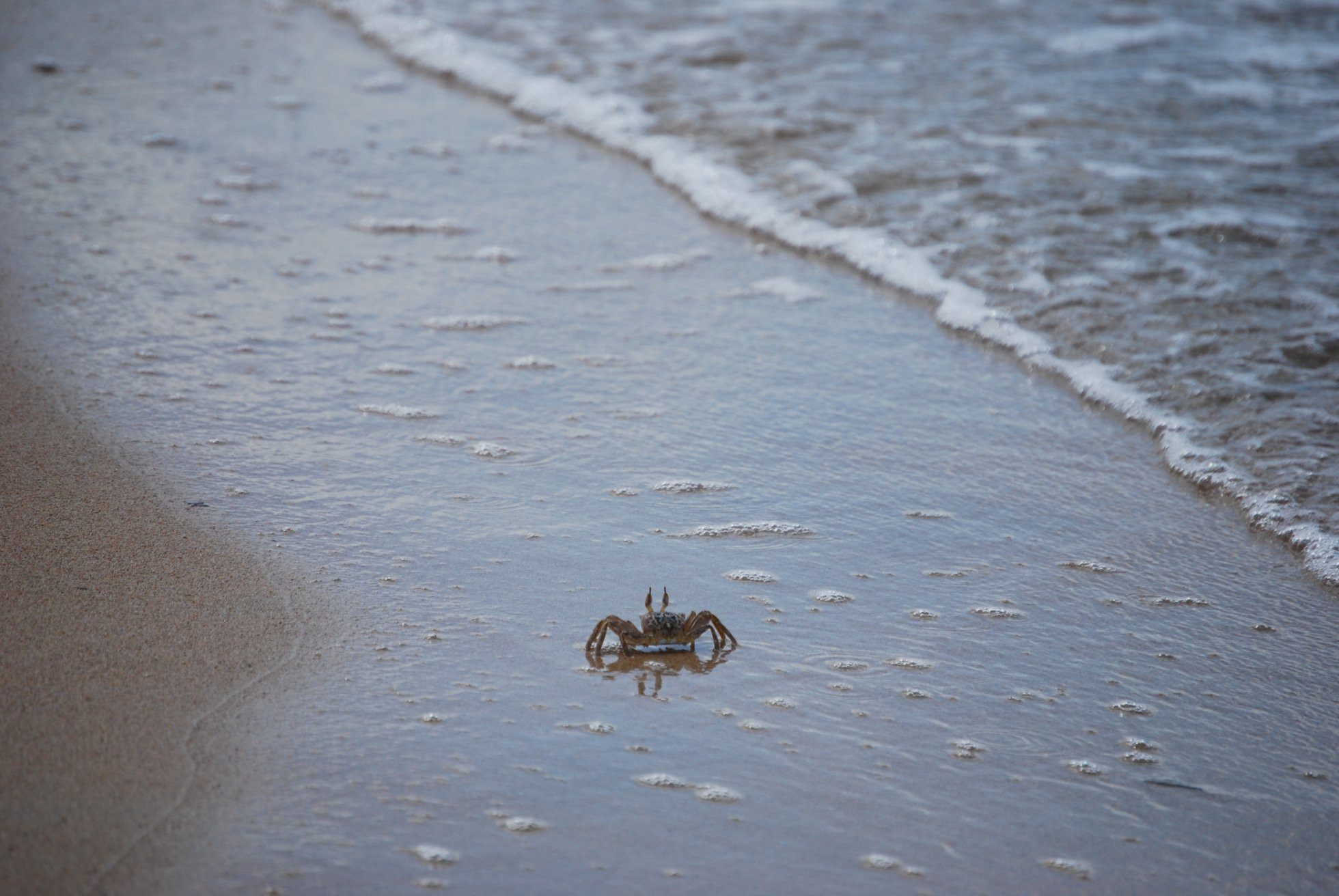 Тринкомали, Шри-Ланка, фото № 52462 – фотографии Шри-Ланки