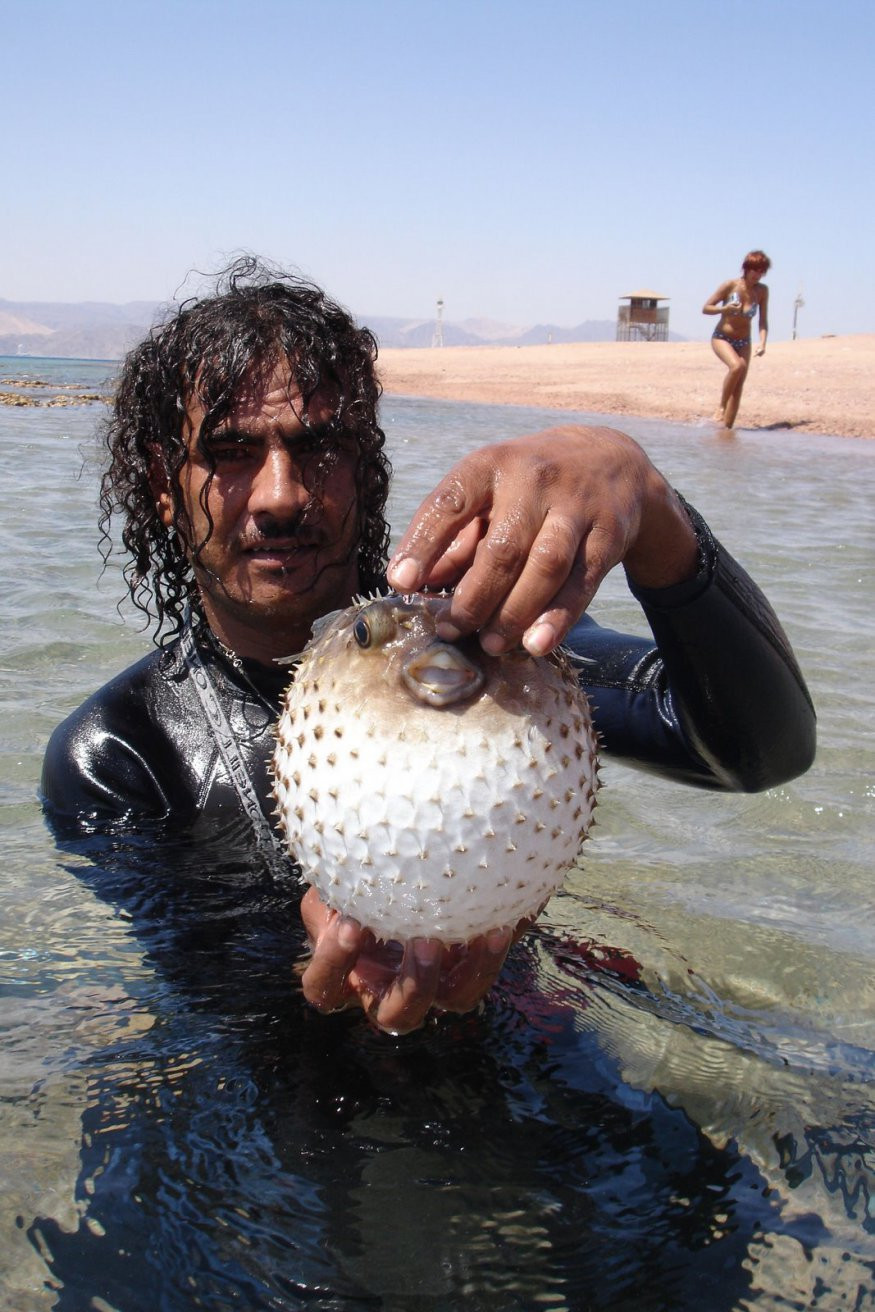 Акаба, Иордания, фото № 36152 – фотографии Иордании