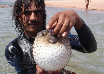 Акаба, Иордания, фото № 36152 – фотографии Иордании