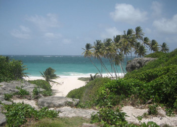 Пляж на Южном побережье, Барбадос. Фото 26 – фотографии Барбадоса