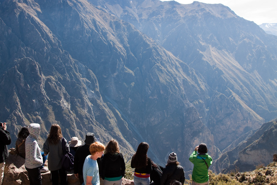 Площадка «Крус-дель-Кондор» для наблюдения за кондорами – фотографии Перу