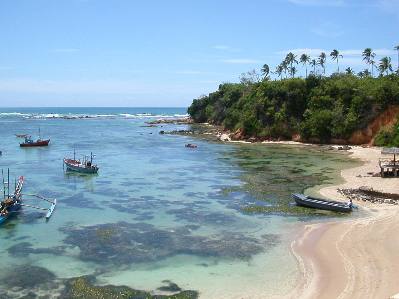 Велигама, Шри-Ланка, фото № 50831 – фотографии Шри-Ланки