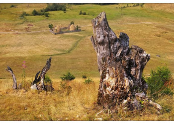 Поле в Национальном парке, Черногория. Фото 9 – фотографии Черногории