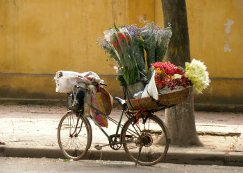 В городе Ханой – фотографии Вьетнама
