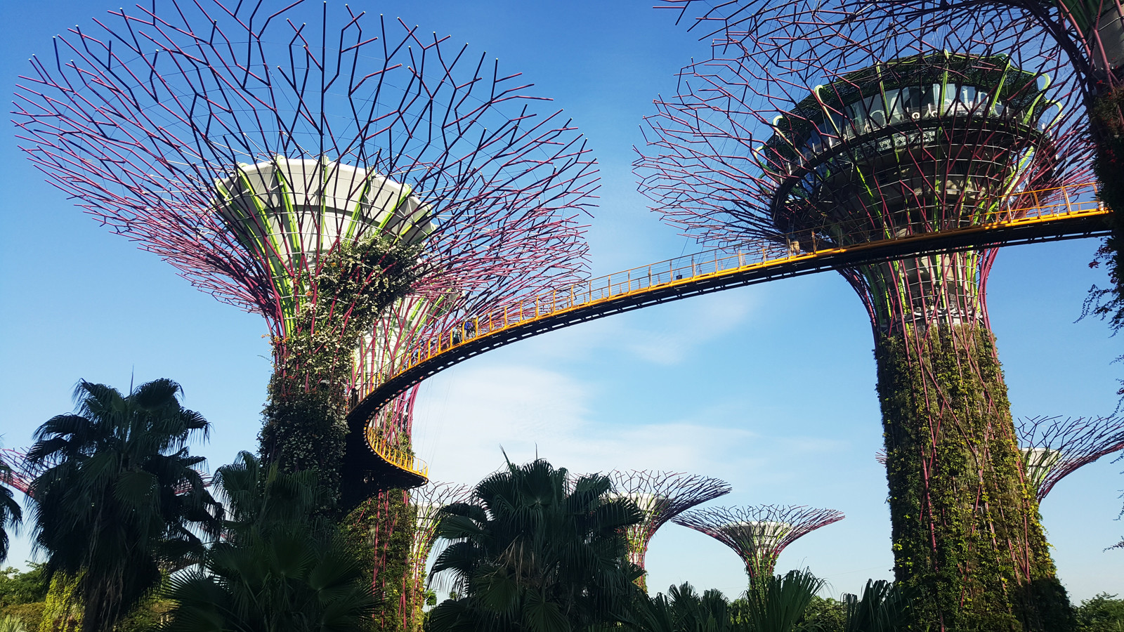 Парк Gardens by the Bay в районе Marina Sands Bay. Фото 1 – фотографии Сингапура