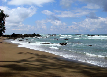 о.Каньо, Пунтаренас провинция, Коста-Рика, фото № 40826 – фотографии Коста-Рики