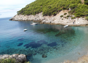 Берега на острове Млет, Хорватия. Фото 12 – фотографии Хорватии