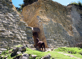 Куэлап – фотографии Перу