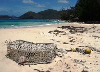 Сетка для ловли рыб на острове Праслин, Сейшелы – фотографии Сейшельских островов