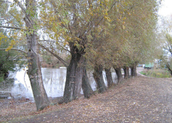 Природа в Судогде, Россия. Фото 1 – фотографии России