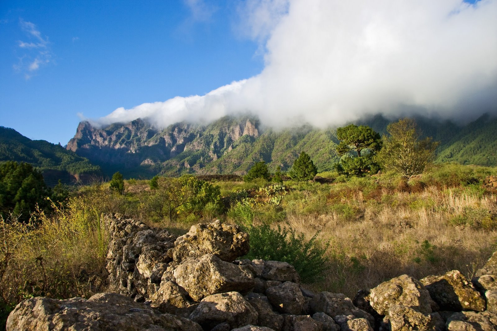 Ла-Пальма остров, Канарские острова, фото № 32053 – фотографии Канарских островов