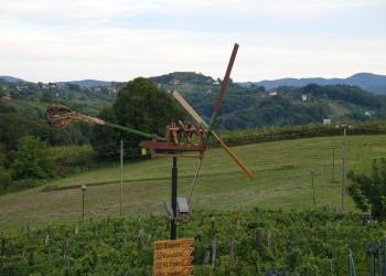 Поле в Словонии, Хорватия – фотографии Хорватии