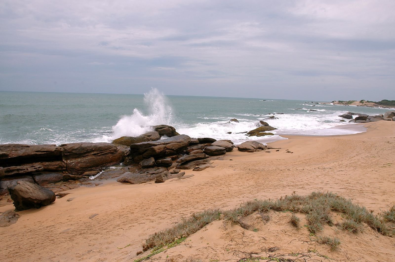 Яла Национальный Парк, Шри-Ланка, фото № 52669 – фотографии Шри-Ланки