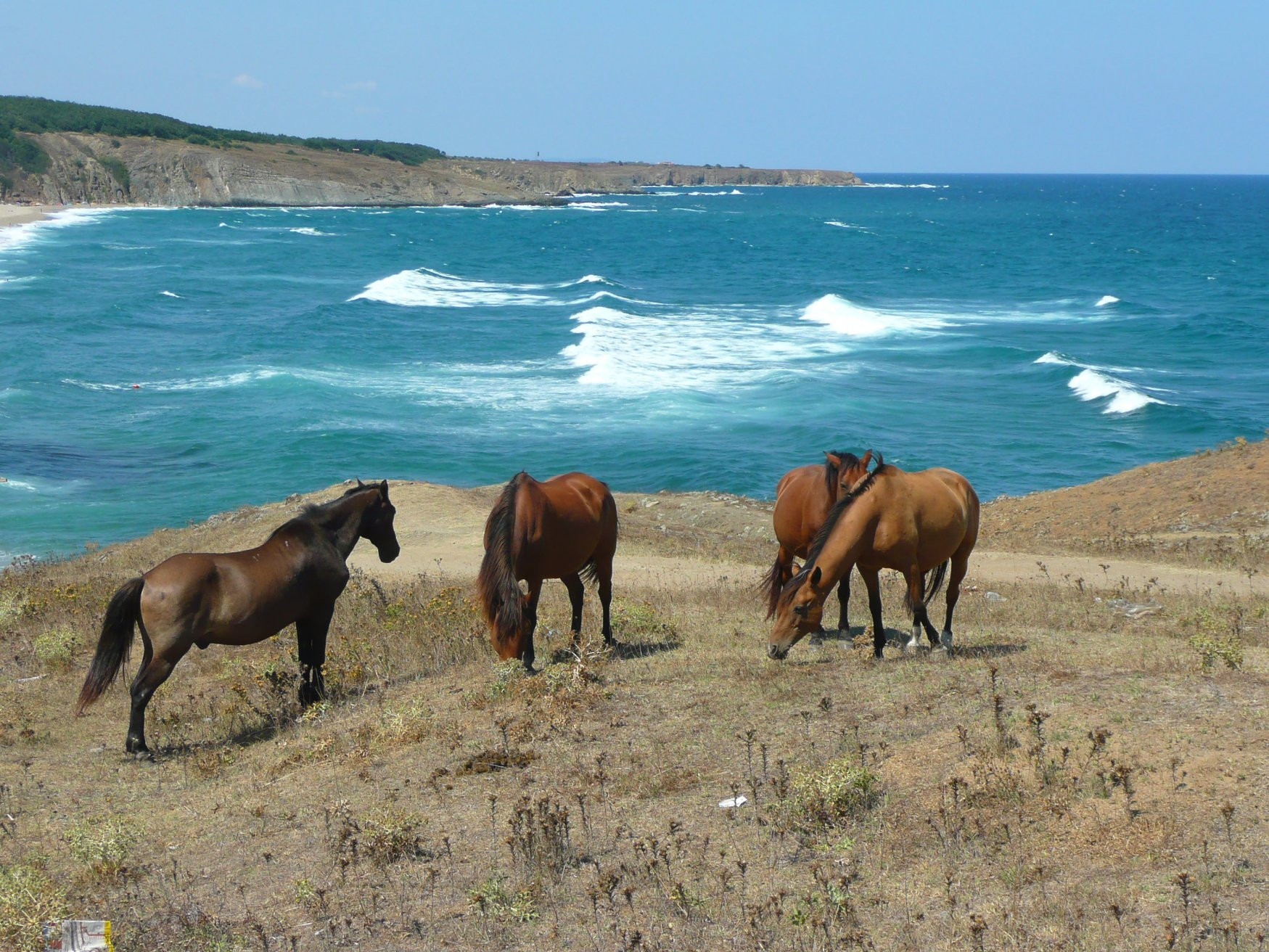 Синеморец, Болгария, фото № 27027 – фотографии Болгарии