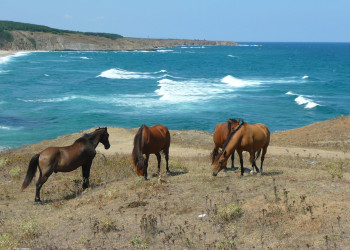 Синеморец, Болгария, фото № 27027 – фотографии Болгарии