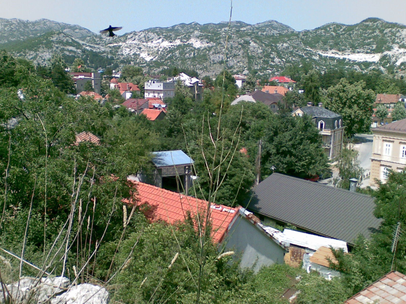 Дома в Цетине, Черногория. Фото 10 – фотографии Черногории