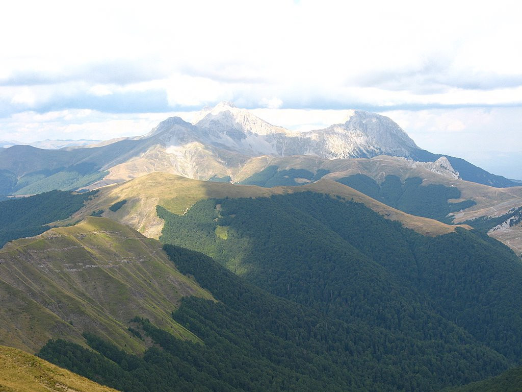 Биоградская гора, Черногория. Фото 10 – фотографии Черногории