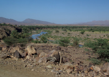 Уарзазат, Марокко, фото № 8363 – фотографии Марокко