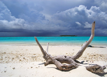 Пляж в Раа Атолл, Мальдивы. Фото 3 – фотографии Мальдивских островов