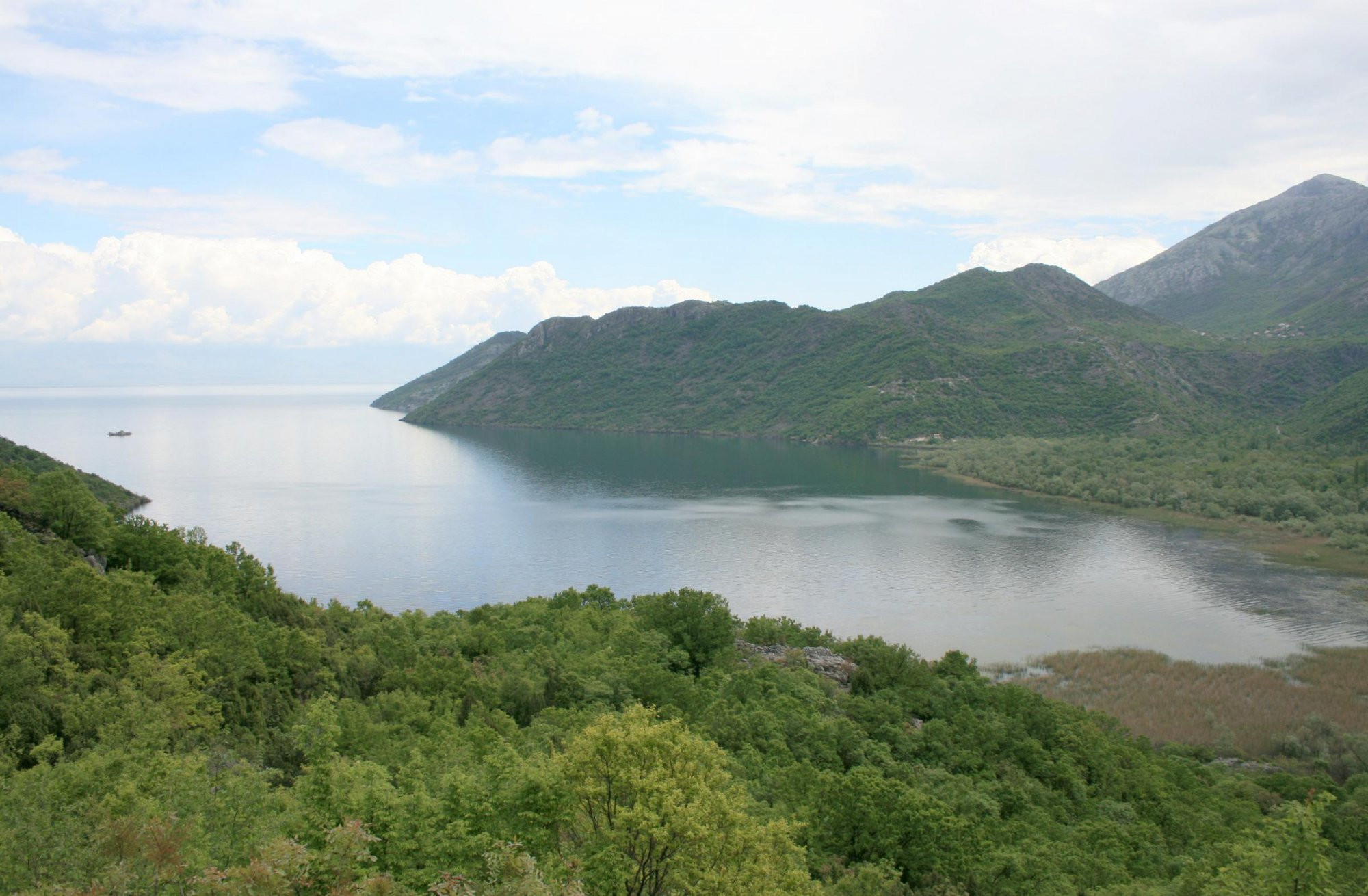 Природа Национального парка, Черногория. Фото 16 – фотографии Черногории