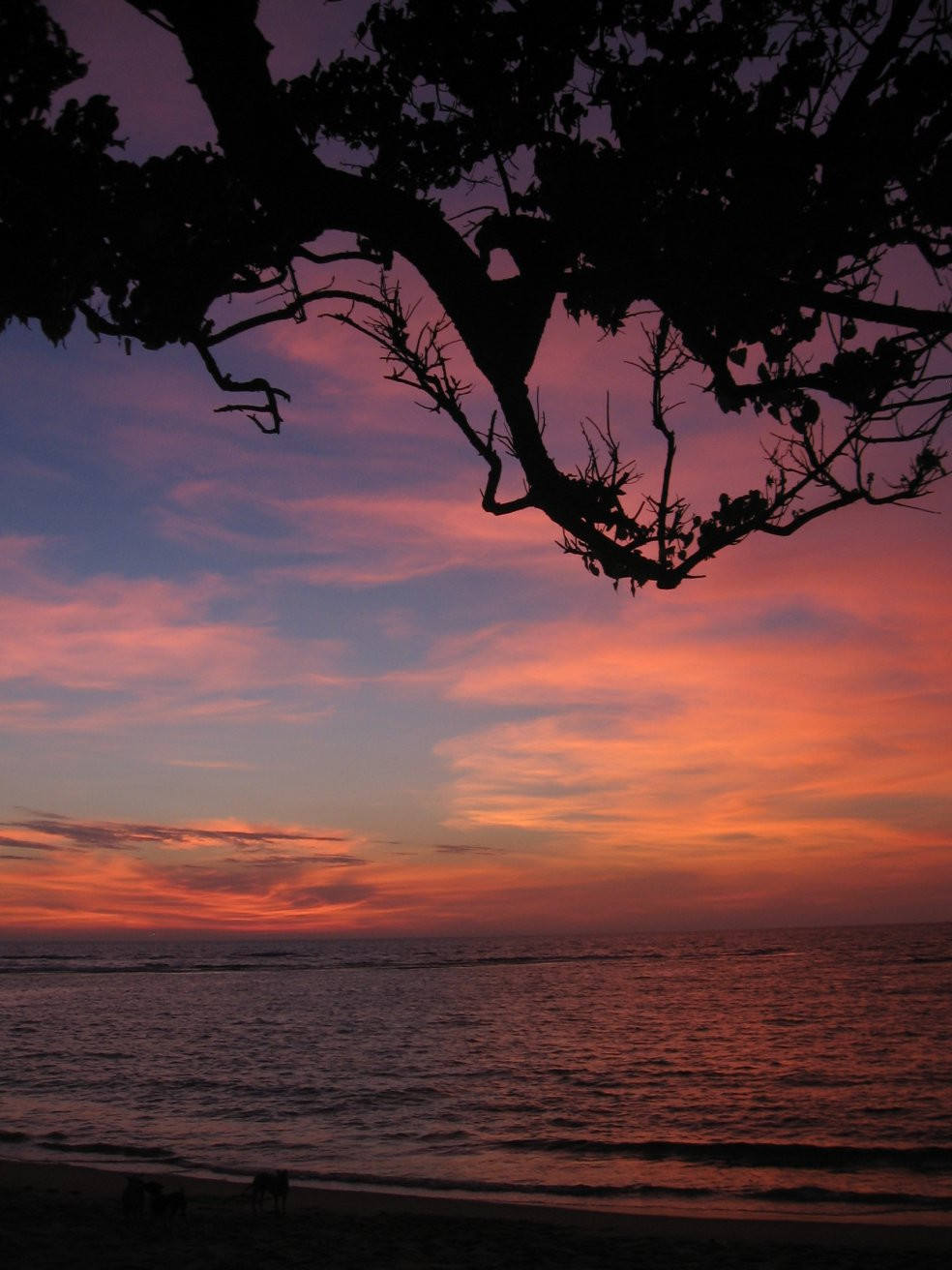 Берувела, Шри-Ланка, фото № 50714 – фотографии Шри-Ланки