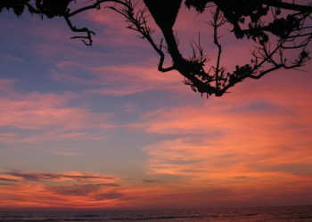 Берувела, Шри-Ланка, фото № 50714 – фотографии Шри-Ланки