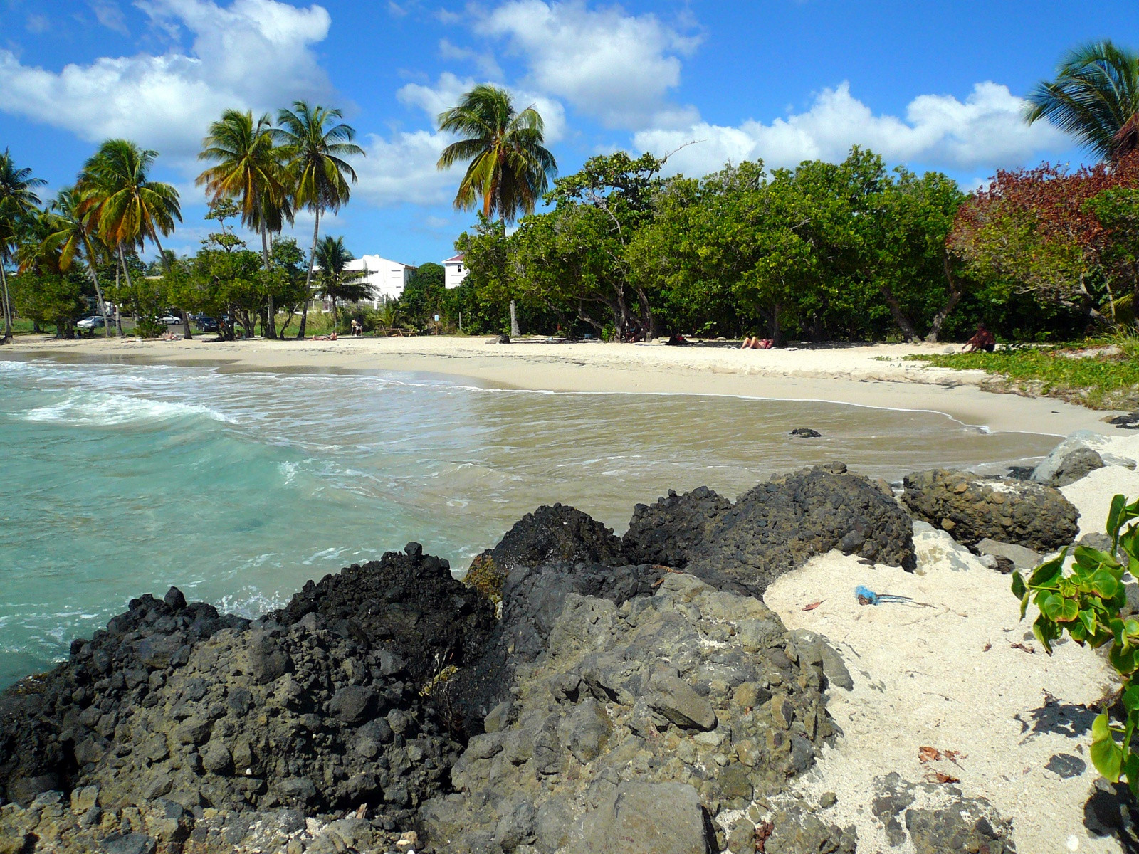 Сент-Люс (Sainte-Luce), Мартиника. Фото 2 – фотографии Мартиники