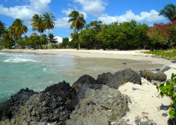 Сент-Люс (Sainte-Luce), Мартиника. Фото 2 – фотографии Мартиники