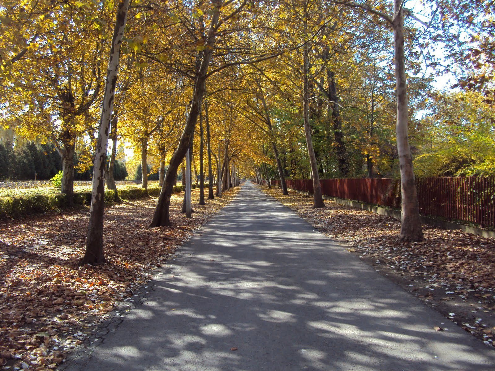 Балатонфёльдвар, Балатон озеро, Венгрия, фото № 69800 – фотографии Венгрии