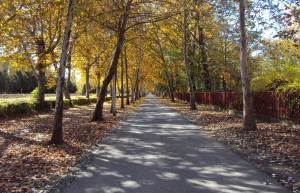 Балатонфёльдвар, Балатон озеро, Венгрия, фото № 69800 – фотографии Венгрии