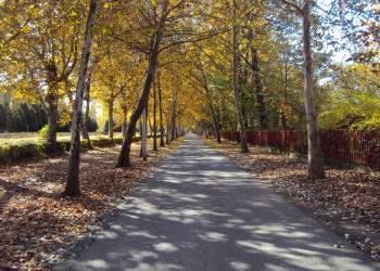 Балатонфёльдвар, Балатон озеро, Венгрия, фото № 69800 – фотографии Венгрии