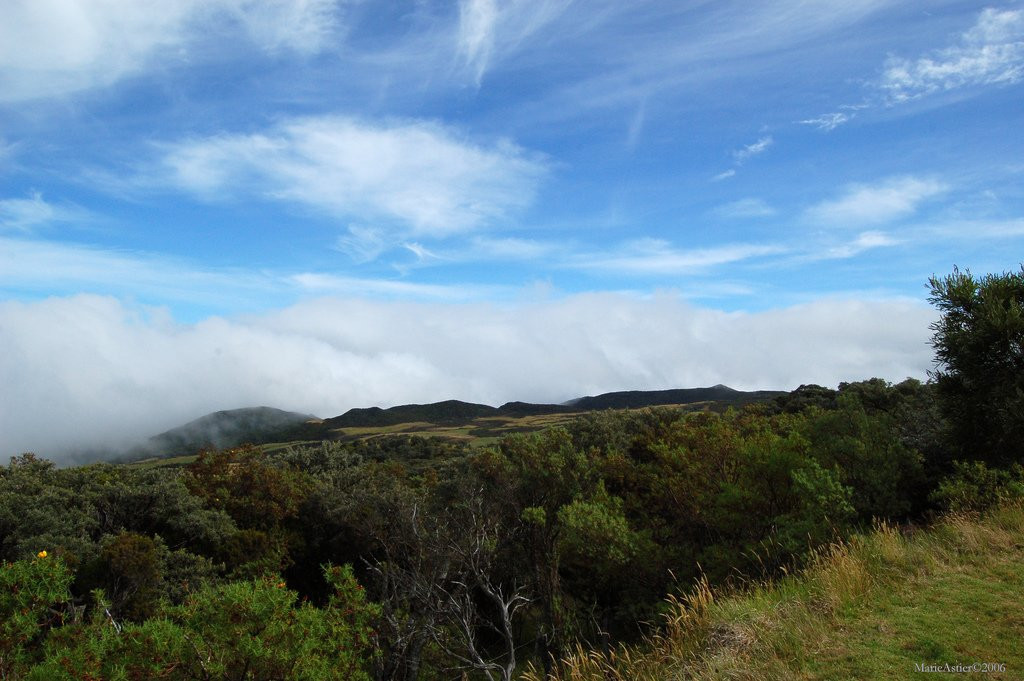 Плень-де-Кафр, Реюньон, фото № 25624 – фотографии Реюньона