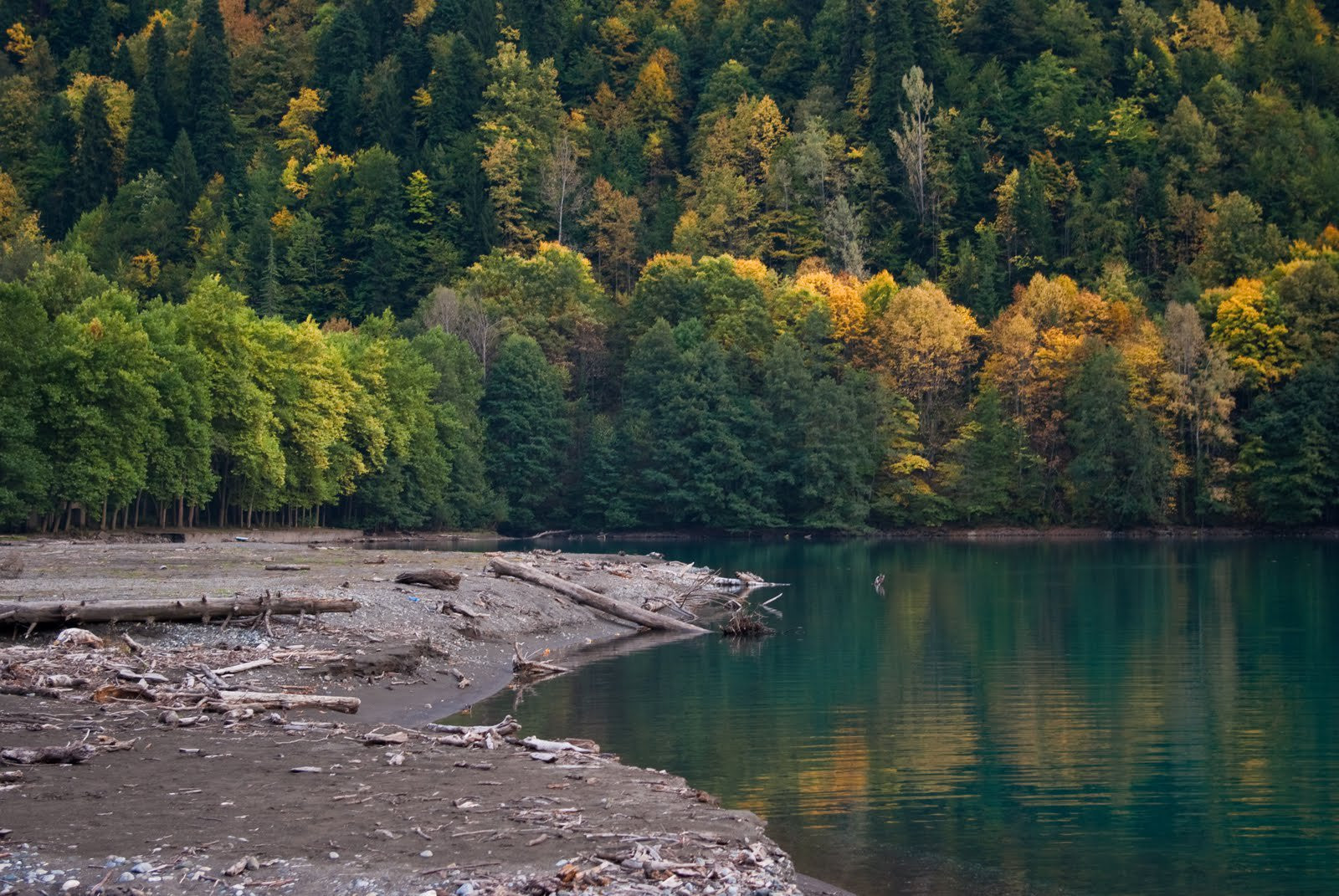 Берег в Абхазии. Фото 4 – фотографии Абхазии