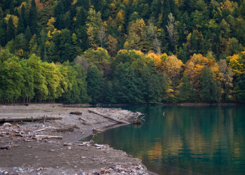 Берег в Абхазии. Фото 4 – фотографии Абхазии