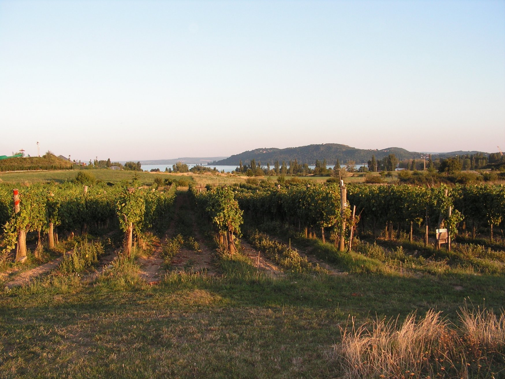 Балатонфюред, Балатон озеро, Венгрия, фото № 69843 – фотографии Венгрии