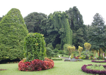 Королевский Ботанический сад в Перадении рядом с Канди – фотографии Шри-Ланки