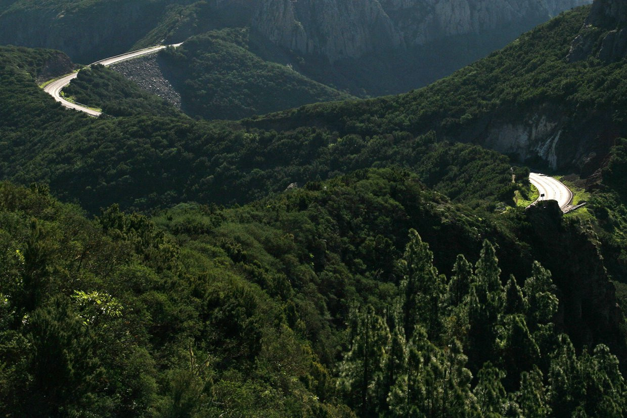 Гарахонай Национальный парк, Ла-Гомера остров, Канарские острова, фото № 60606 – фотографии Канарских островов